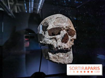 Exposition Préhistoire, un invention moderne au Centre Pompidou, les photos