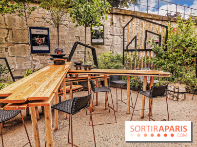 Jardins Jardin aux Tuileries 2019