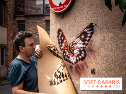 Les Papillons de C215