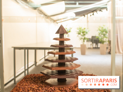 Chocolats de Noël 2019 de Ducasse