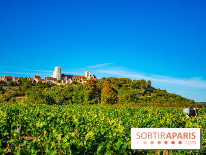 Le Château de Vault-de-Lugny - excursions dans la région