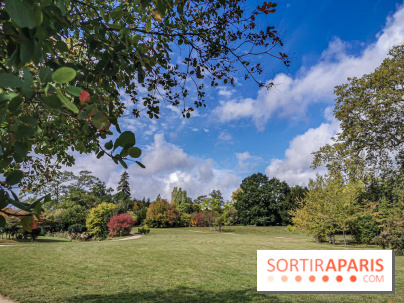 Le parcours des Arbres Admirables dans le domaine du château de Versailles