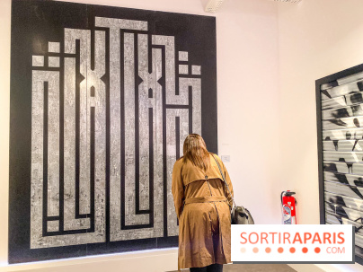 Walk the Line with L’ATLAS, l'epo au Musée en Herbe