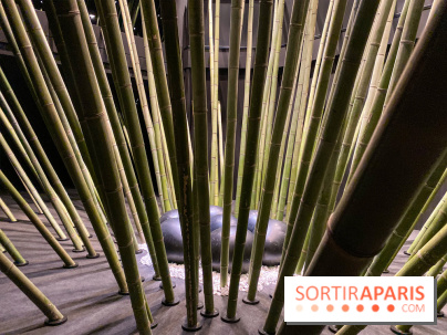 Black Bamboo de Nils-Udo à la Fondation EDF