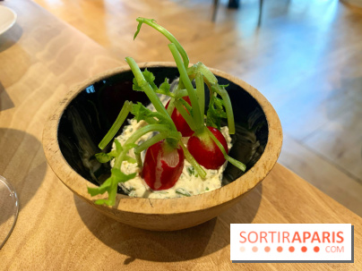 Origines - Julien Boscus 