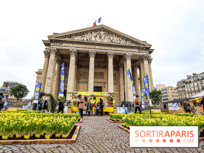 Une Jonquille pour Curie au Panthéon