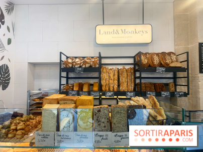 Land&Monkeys