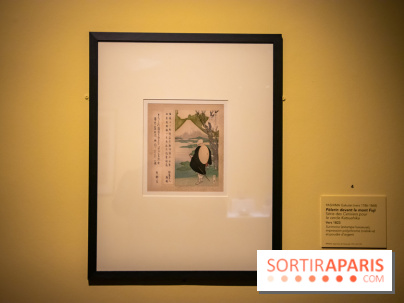 Fuji, pays de neige, l'exposition au musée Guimet - nos photos