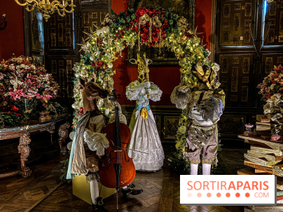 Photos : Vaux-le-vicomte en Lumières