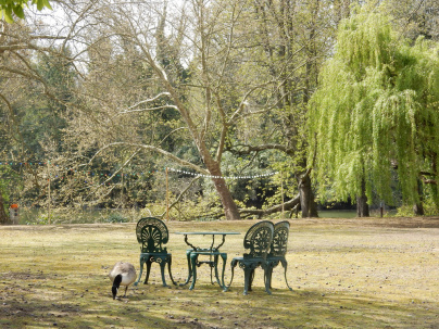 Rosa Bonheur de la Porte Jaune, les photos