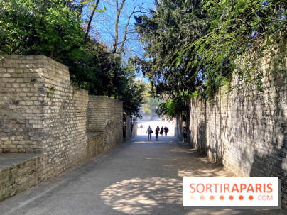 Les Arènes de Lutèce à Paris