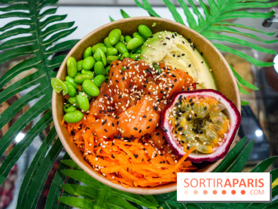 Pokelife, les photos