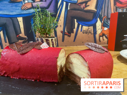 Bûches de Noël 2021 et galette des Belles Envies