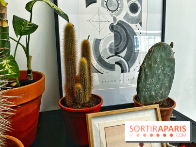 Rayon Noir, le salon de tatouage et de design moderne et accueillant du 12e arrondissement