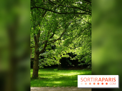 Arboretum de la Vallée-aux-Loups, une balade au milieu des arbres remarquables