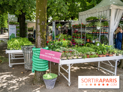 Jardins jardin aux Tuileries 2022