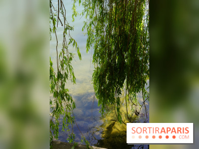 l'Île des Impressionnistes à Chatou