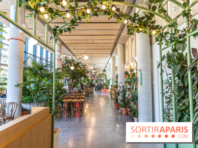 Titi Palacio, bar-restaurant festif à la Félicité 