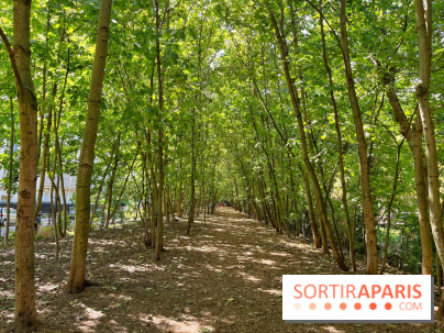 Balade sur la Petite Ceinture du 14 au 16e arrondissement : un sentier nature dépaysant