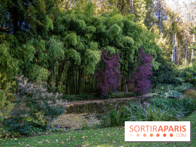 Le Jardin japonais du Château de Courances