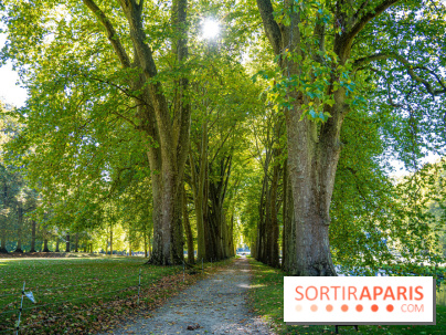 Parc et Domaine du Château de Courances