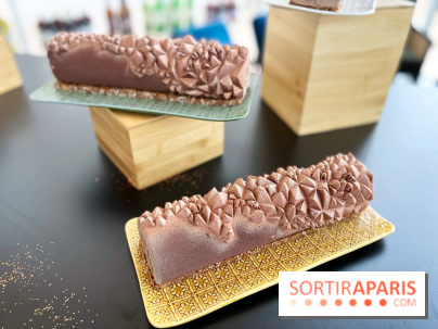 Bûches de Noël 2022 Jérémy Delval Dalloyau