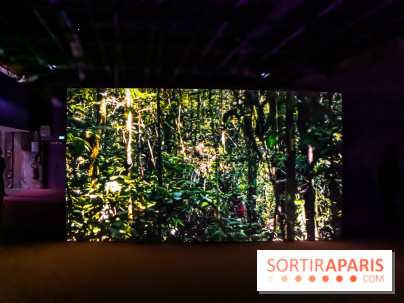 Exposition au Palais de Tokyo : Shéhérazade, la nuit - nos photos