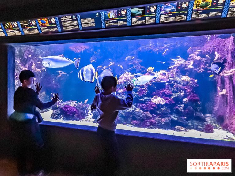 Visuels enfant - famille 