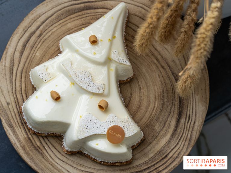 La Bûche de Noël de Claire Heitzler 2022