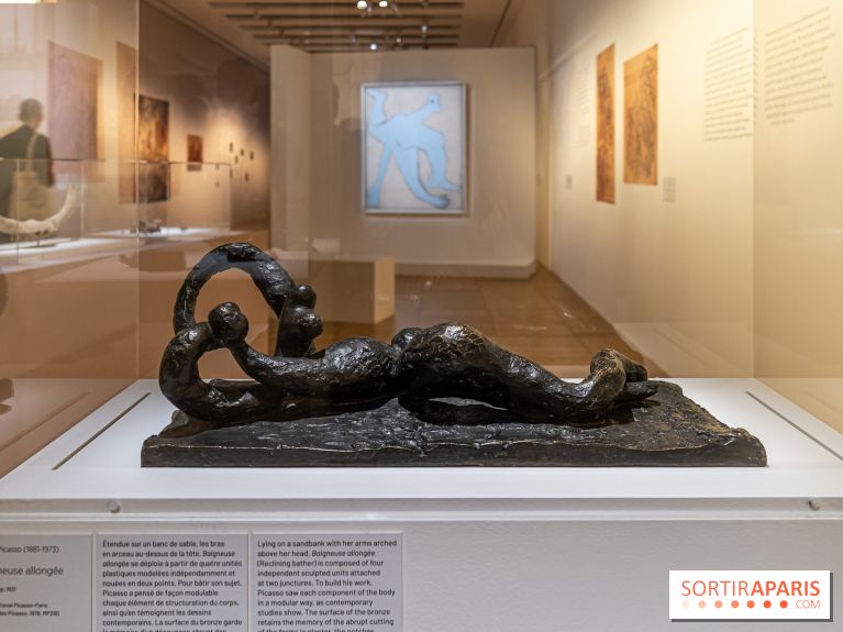 Picasso et la Préhistoire, les photos de l'exposition au Musée de l'Homme