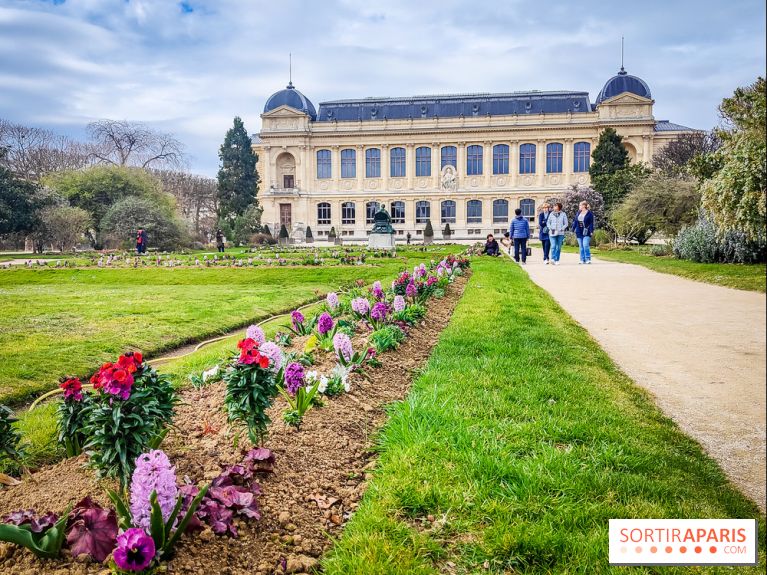 Félins, l'exposition qui nous fait craquer au Muséum national d'Histoire naturelle - photos - IMG20230321111256