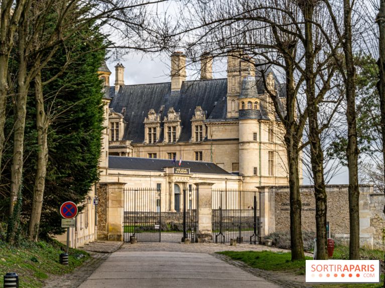 Château d'Écouen - Musée national de la Renaissance  -  A7C8368