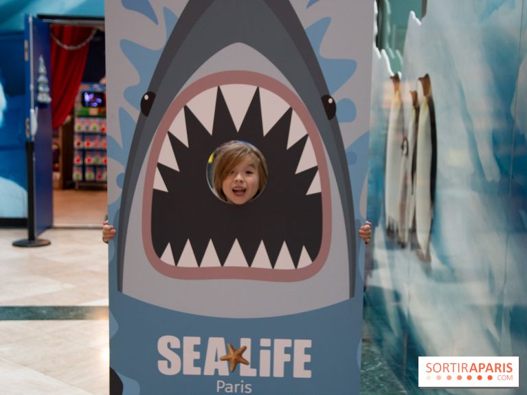 Aquarium Sea Life - IMG 8409