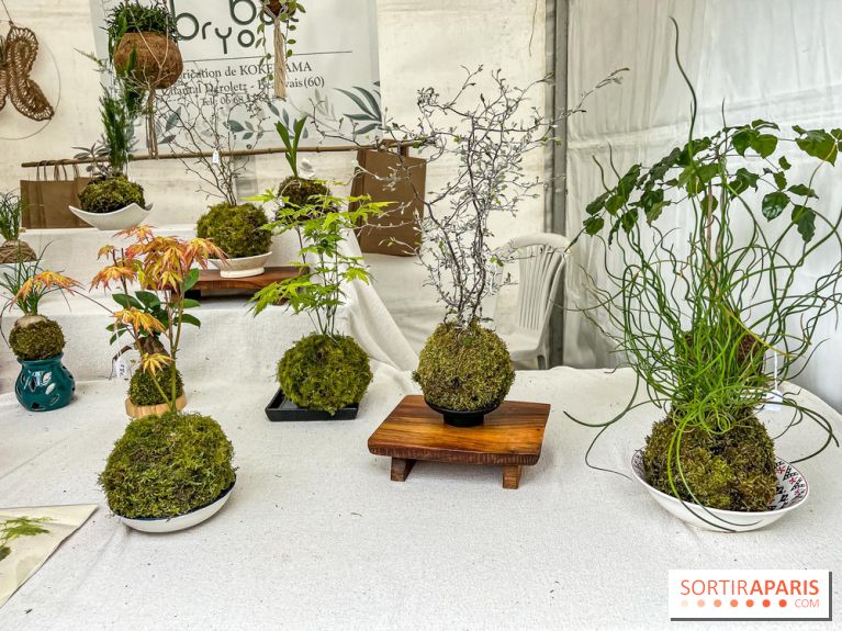 Esprit Jardin à Versailles - Marché aux plantes et animations