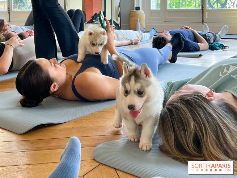 Puppy Yoga