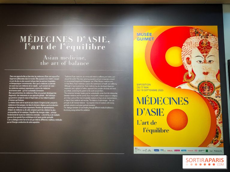 Médecines d'Asie, l'art de l'équilibre : l'exposition bien-être étonnante du musée Guimet - photos