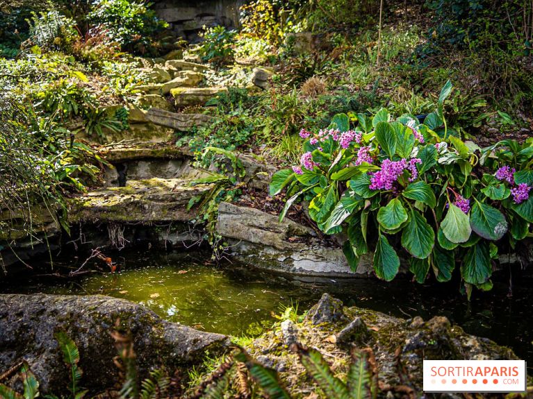 visuel jardins