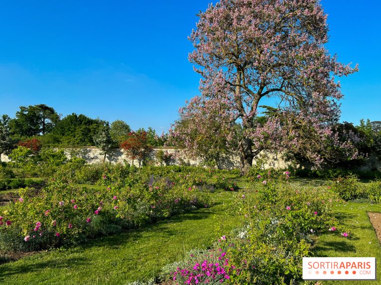 Le Jardin du Parfumeur à Versailles