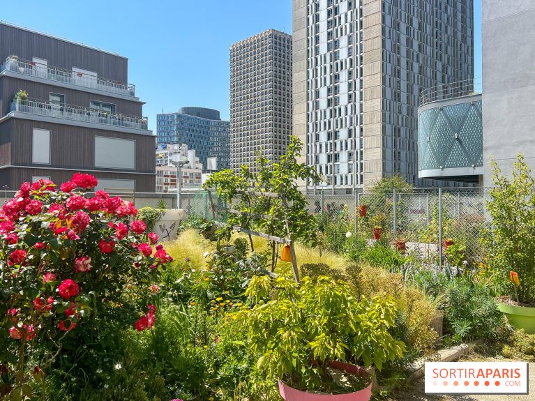 Jardins partagés (toit Beaugrenelle) - image00002