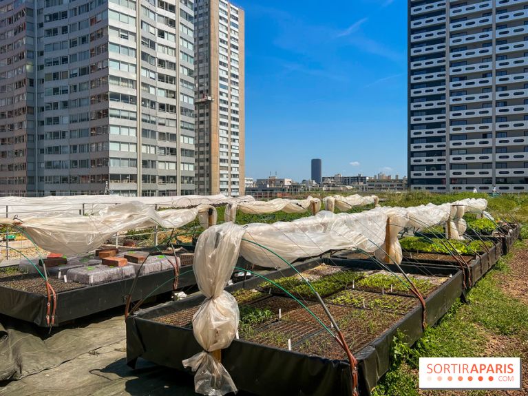 Les toits de Beaugrenelle - image00006