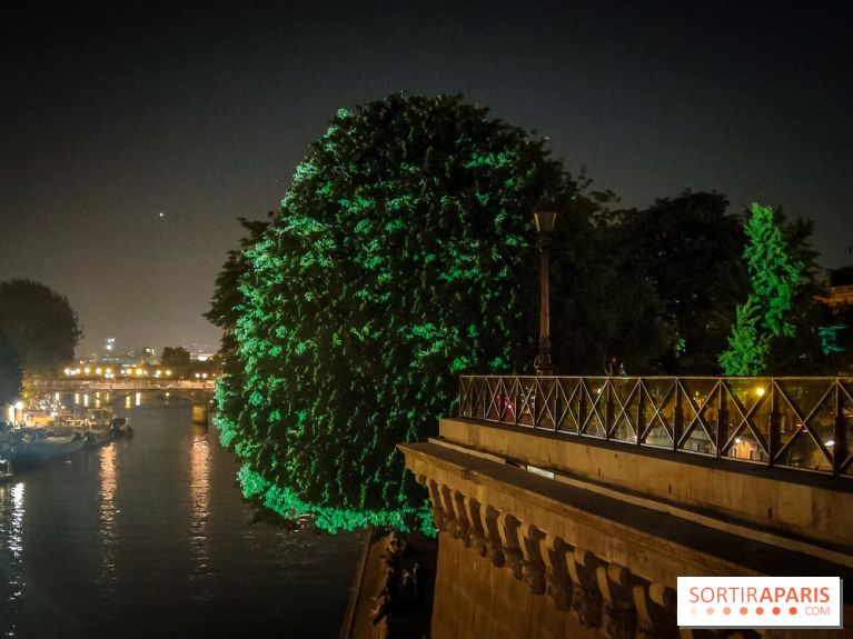 Nuit Blanche 2023 : des projections lumineuses magiques au Square du Vert Galant de l'Île de la Cité