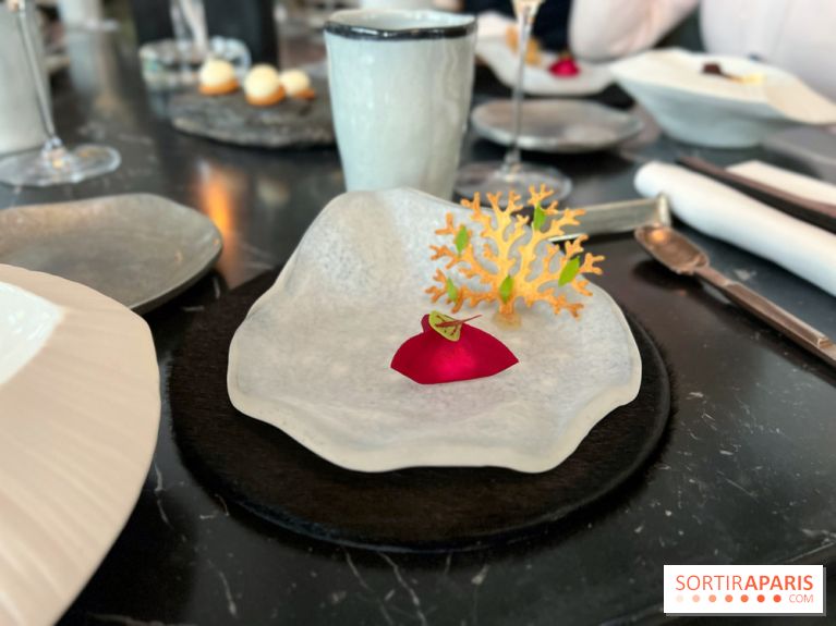 L'Ours - Amuse-bouche