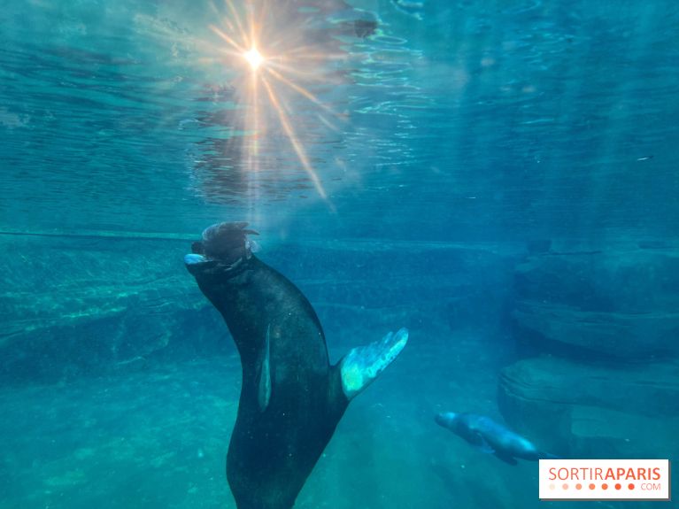 Nocturnes au Parc Zoologique de Paris - IMG 3469