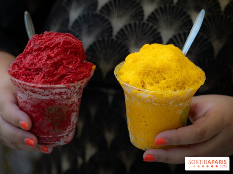 Granités-Neige de Jade Génin, l'Été Sous le Signe du Kakigori Réinventé -  A7C7553