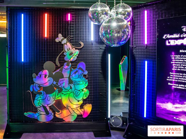 Disney 100 L'Amitié c'est Merveilleux