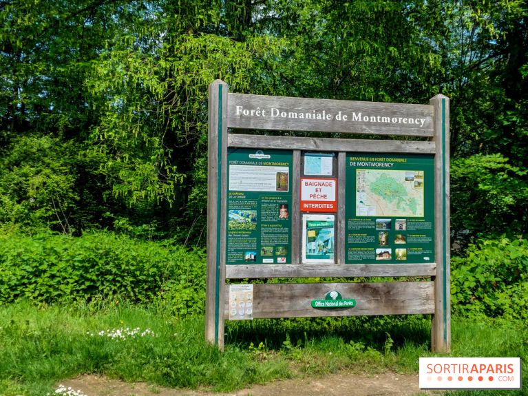 Balade nature dans la forêt de Montmorency, nos photos