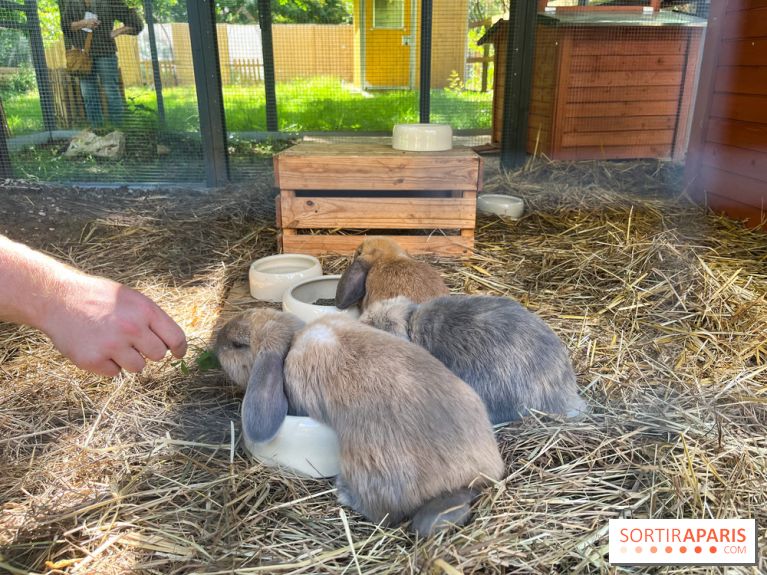 La ferme de la Villette et ses animaux