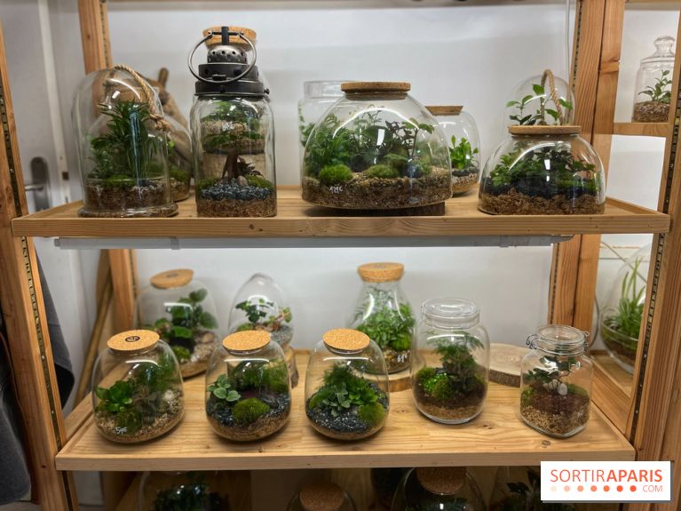 Boby la Plante - IMG 4334