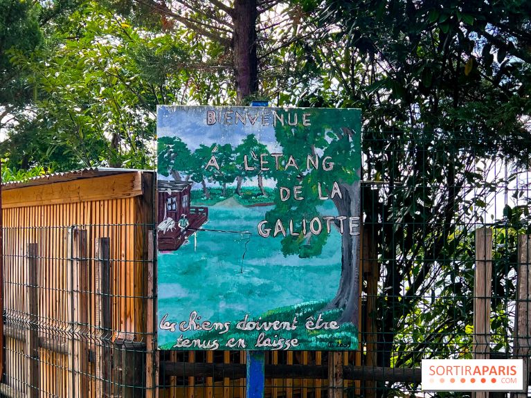 L'étang de la Galiotte dans le parc du Peuple de l'Herbe - Carrières-sous-Poissy (Yvelines) - image00005