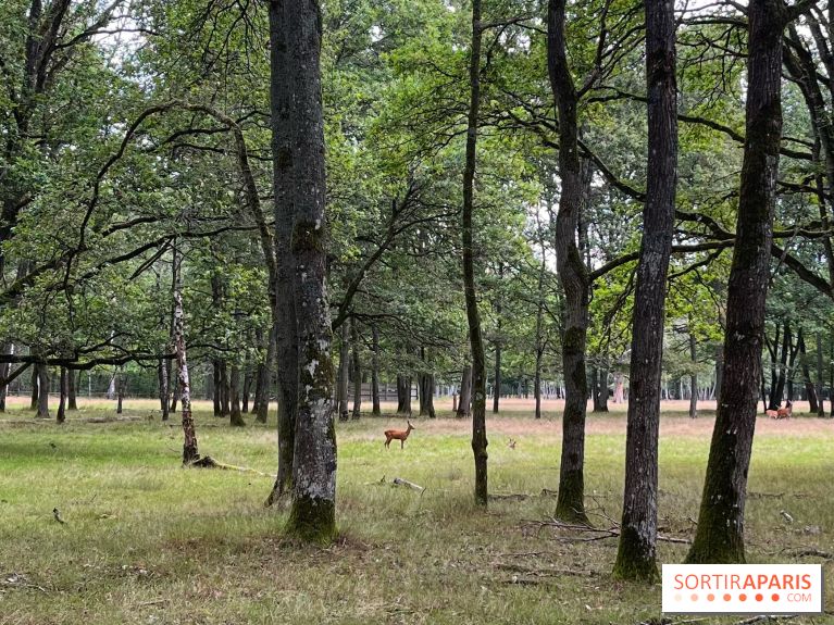 Espace Rambouillet - IMG 4375